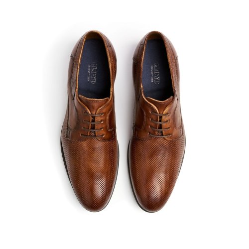 Lloyd Shoes Levin