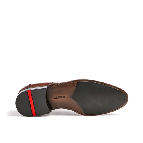 Lloyd Shoes Levin