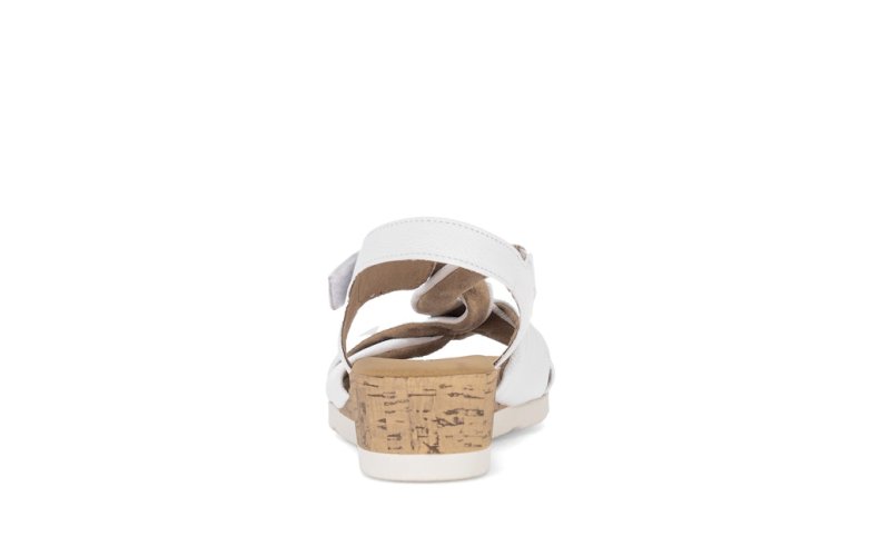 Gabor Comfort Cervo (Lds)